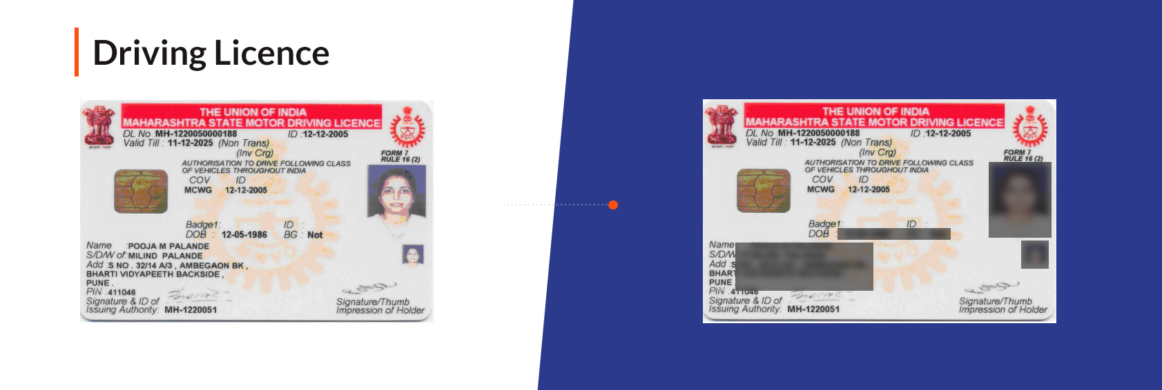 Masked Driving Licence