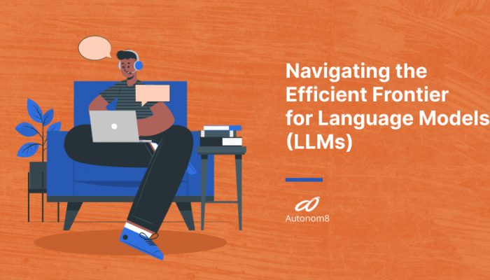 Navigating the Efficient Frontier for Language Models (LLMs)