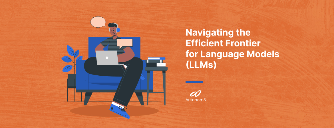 Navigating the Efficient Frontier for Language Models (LLMs)